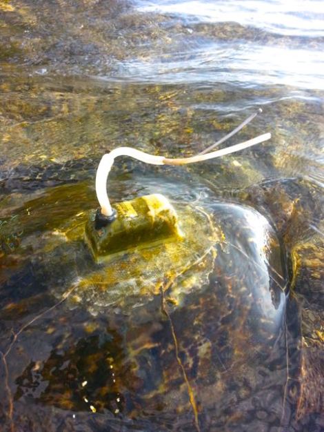 2015-05-28 17.20.24-2